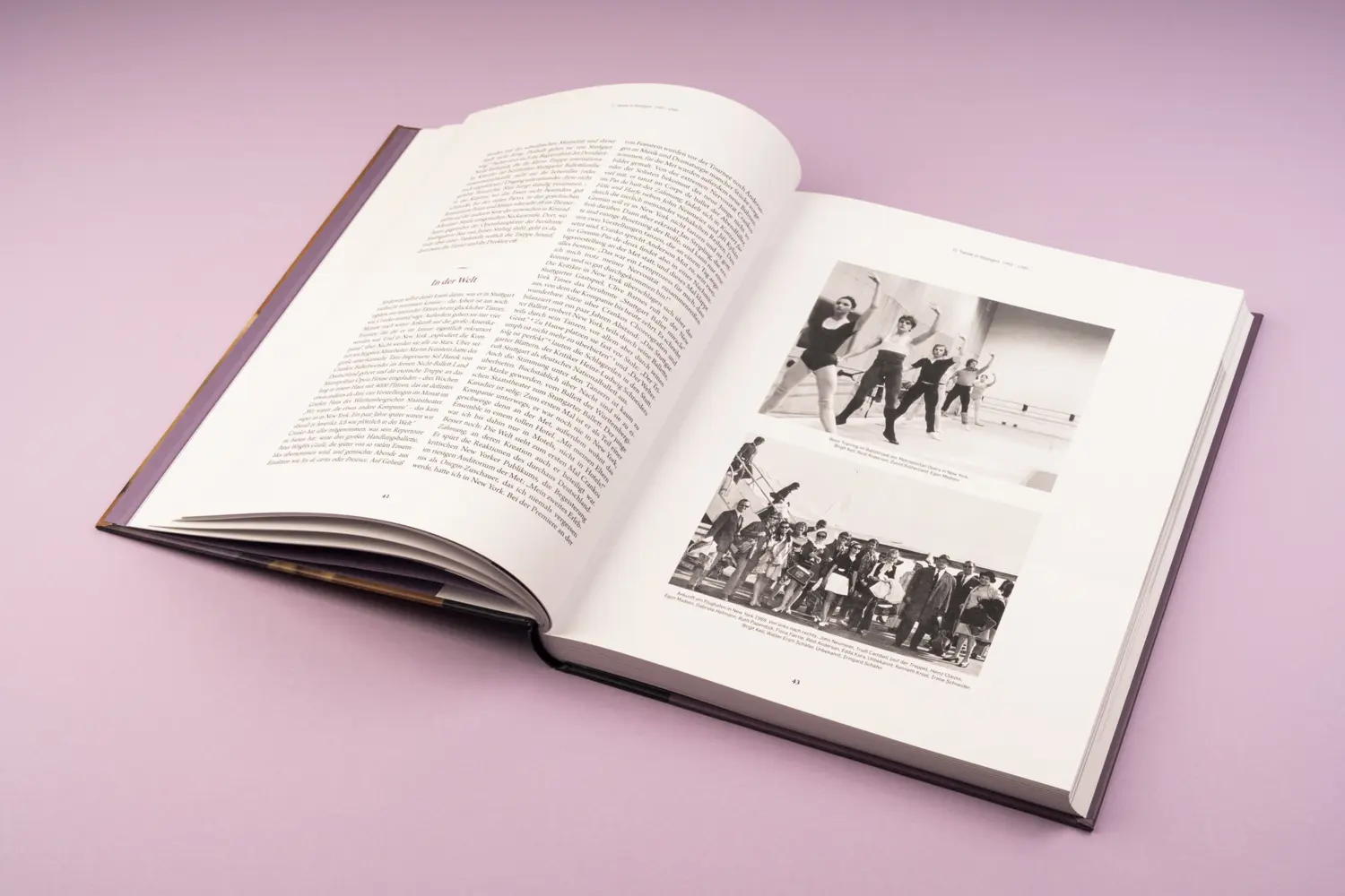 Bild: 9783894877897 | Reid Anderson. Having It | Vom Tänzer zum Intendanten | Buch | 240 S.