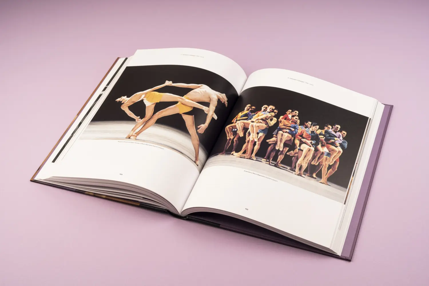 Bild: 9783894877897 | Reid Anderson. Having It | Vom Tänzer zum Intendanten | Buch | 240 S.