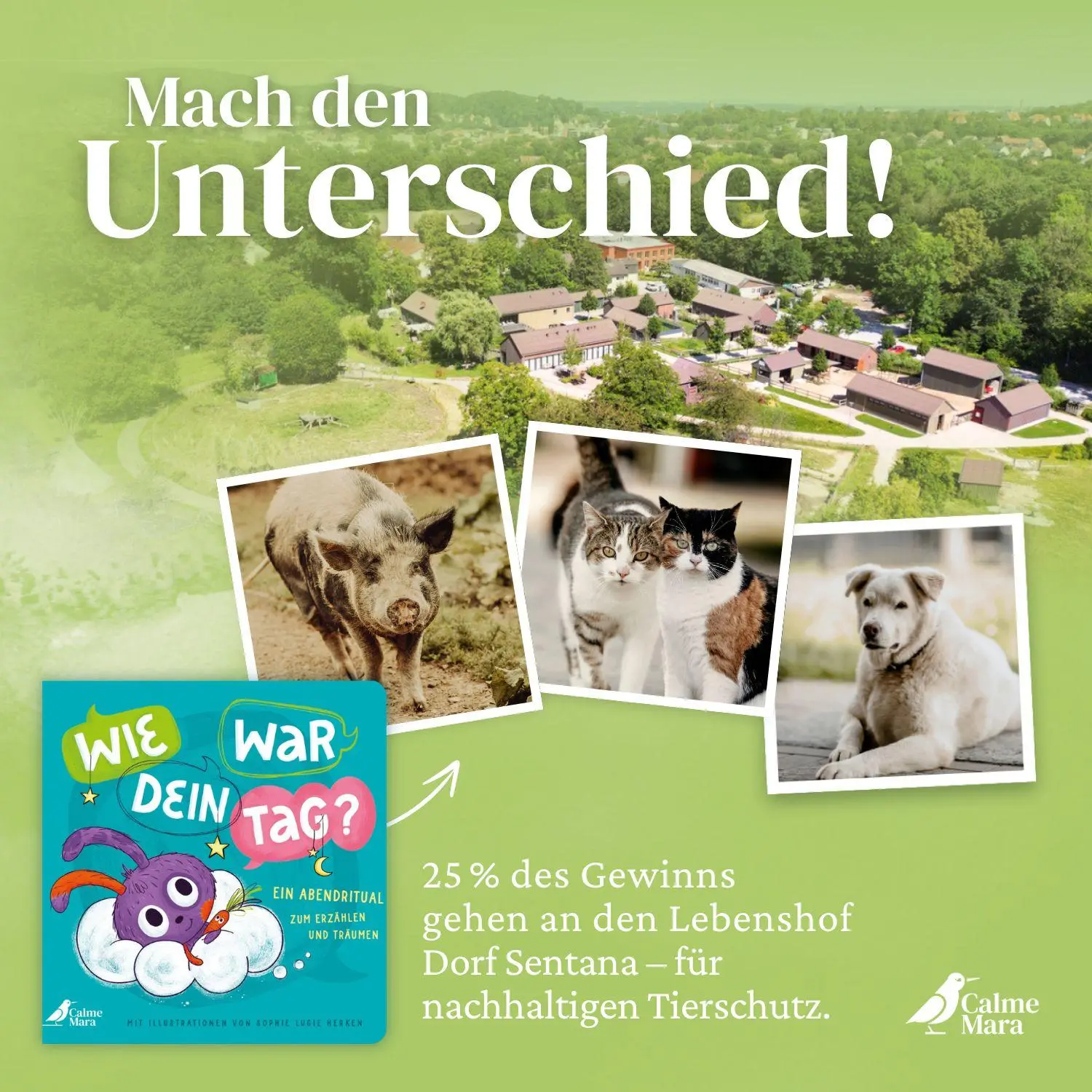 Bild: 9783948877897 | Wie war dein Tag? | Sophie Lucie Herken | Buch | 24 S. | Deutsch