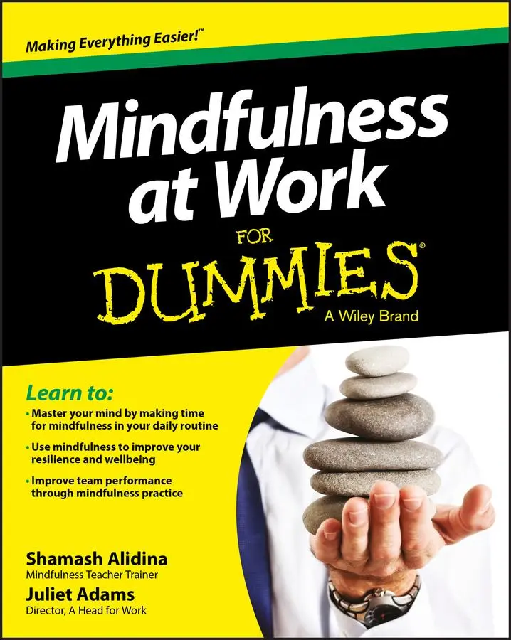 Cover: 9781118727997 | Mindfulness at Work For Dummies | Shamash Alidina (u. a.) | Buch