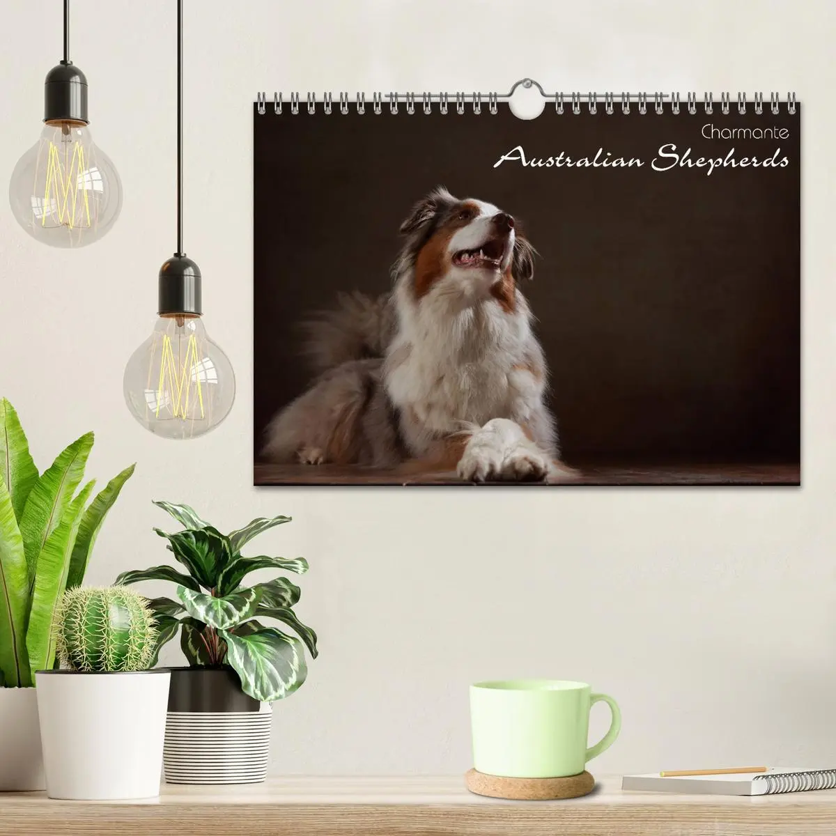 Bild: 9783457897997 | Charmante Australian Shepherds (Wandkalender 2026 DIN A4 quer),...