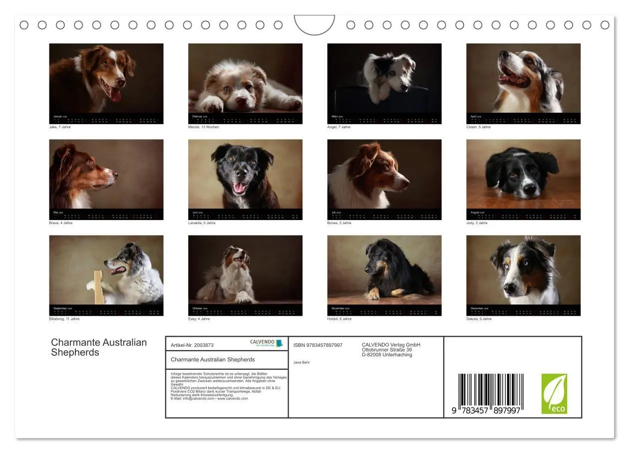 Bild: 9783457897997 | Charmante Australian Shepherds (Wandkalender 2026 DIN A4 quer),...