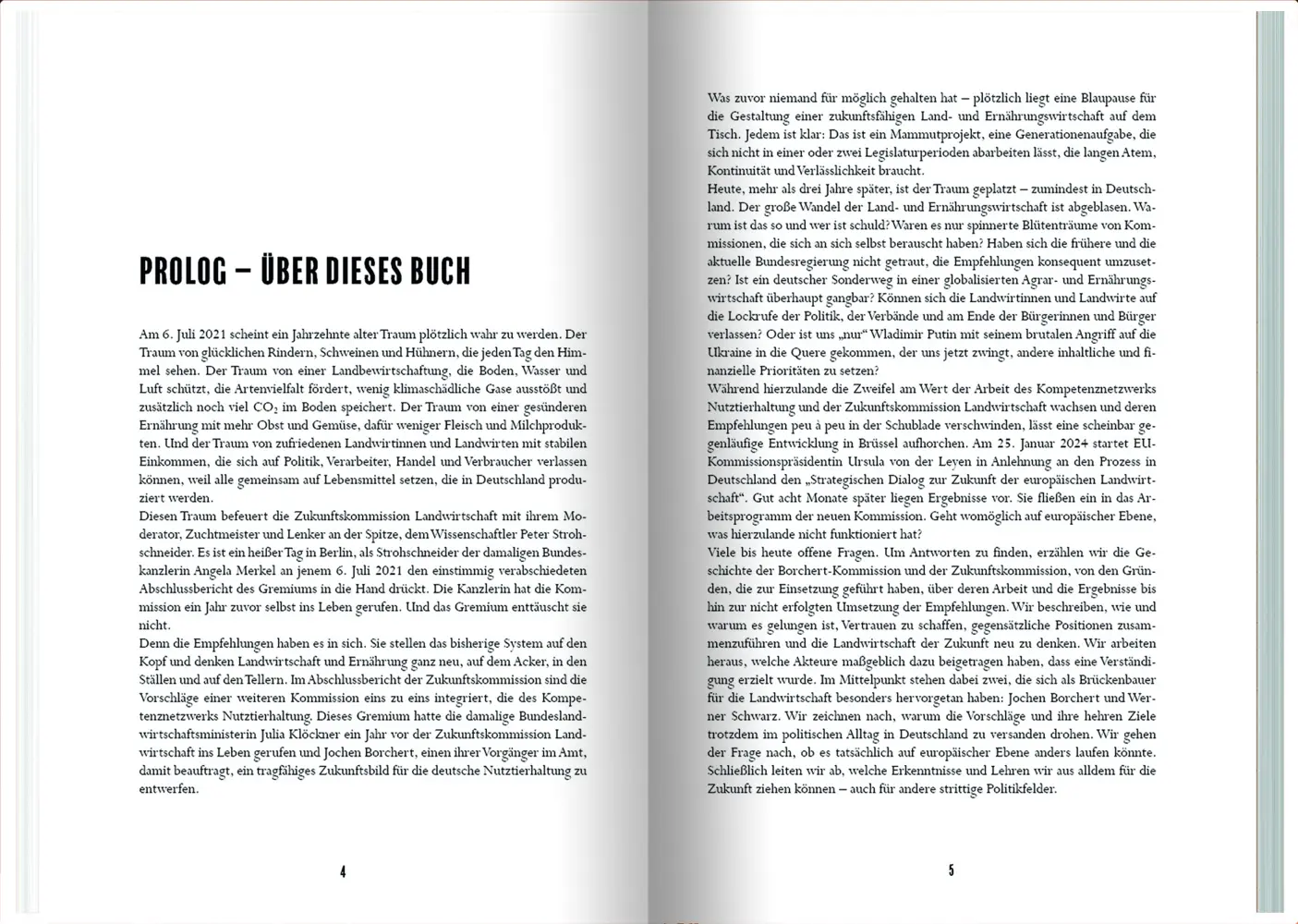 Bild: 9783784357997 | Brücken bauen | Rainer Münch (u. a.) | Buch | 159 S. | Deutsch | 2025