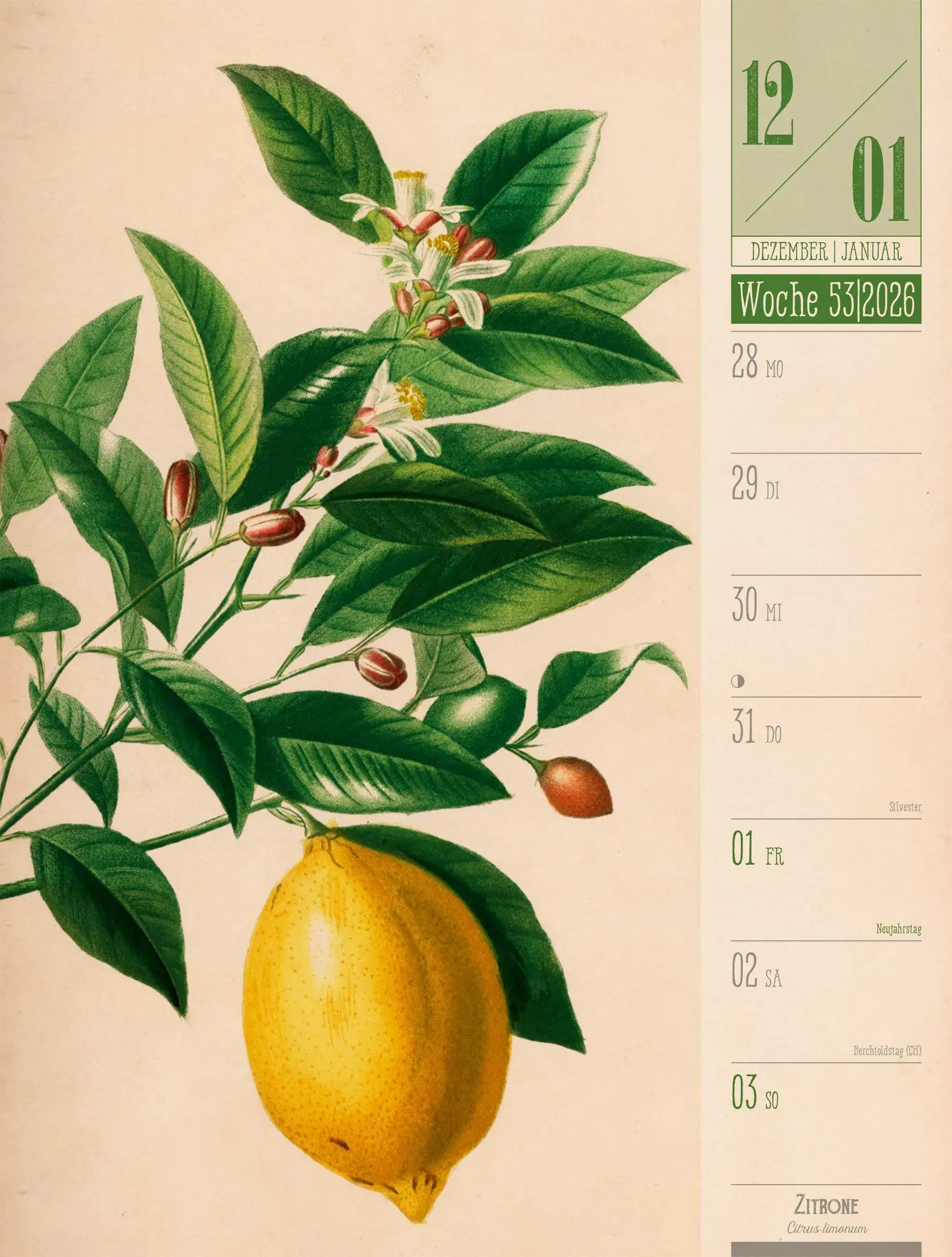 Bild: 9783838427997 | Culinarium Wochenplaner Kalender 2027 Küche, Kräuter, Kurioses | GmbH