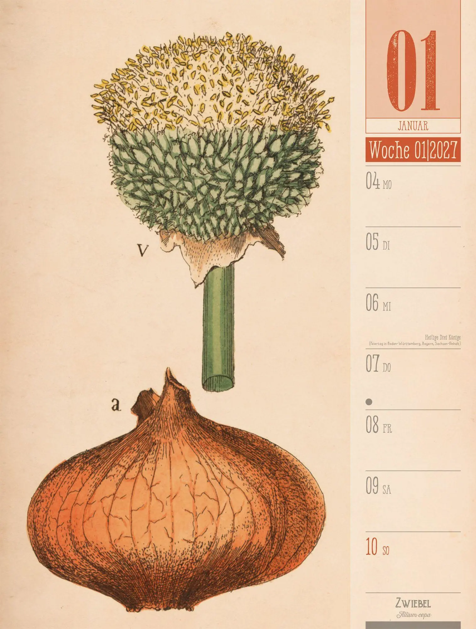 Bild: 9783838427997 | Culinarium Wochenplaner Kalender 2027 Küche, Kräuter, Kurioses | GmbH