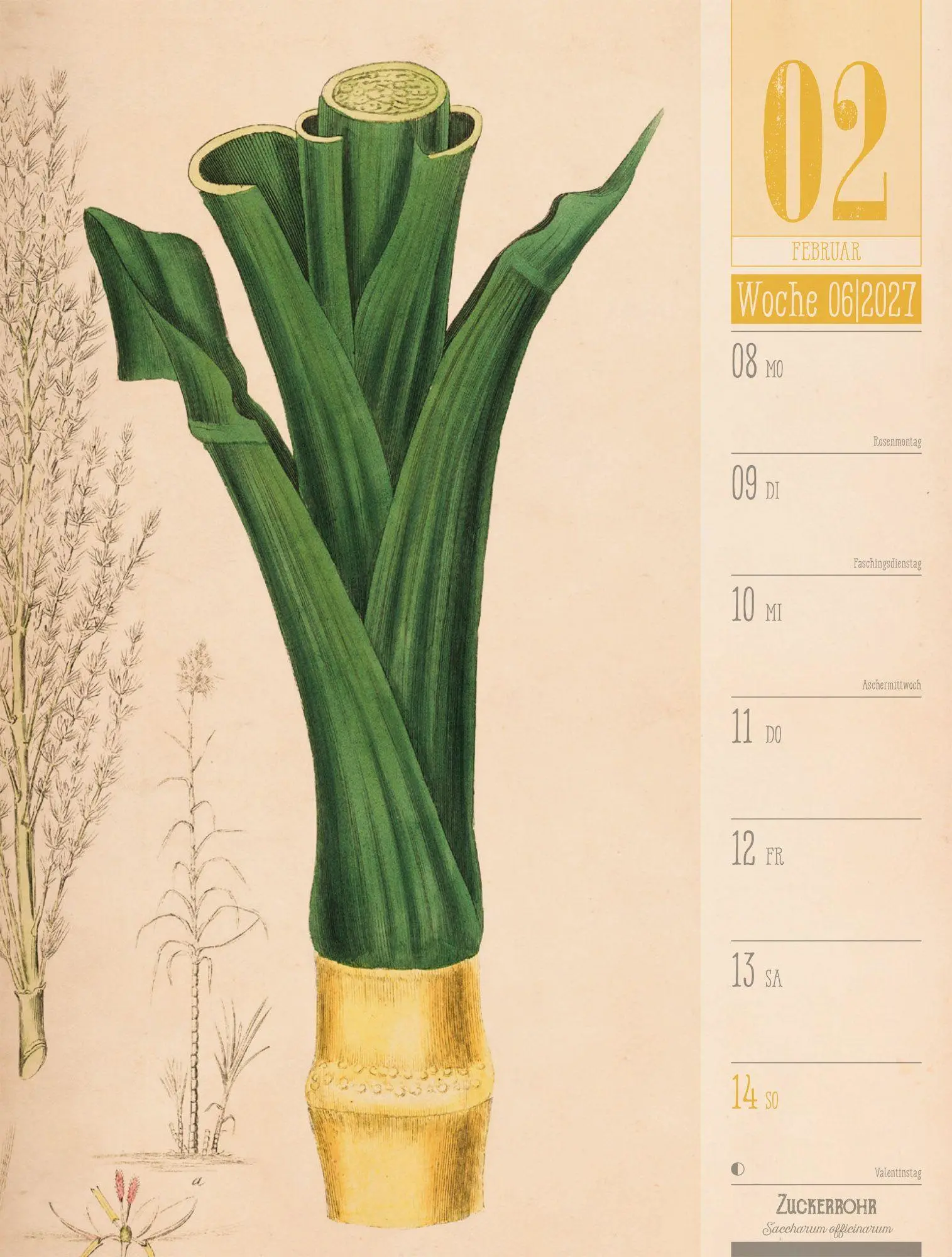 Bild: 9783838427997 | Culinarium Wochenplaner Kalender 2027 Küche, Kräuter, Kurioses | GmbH