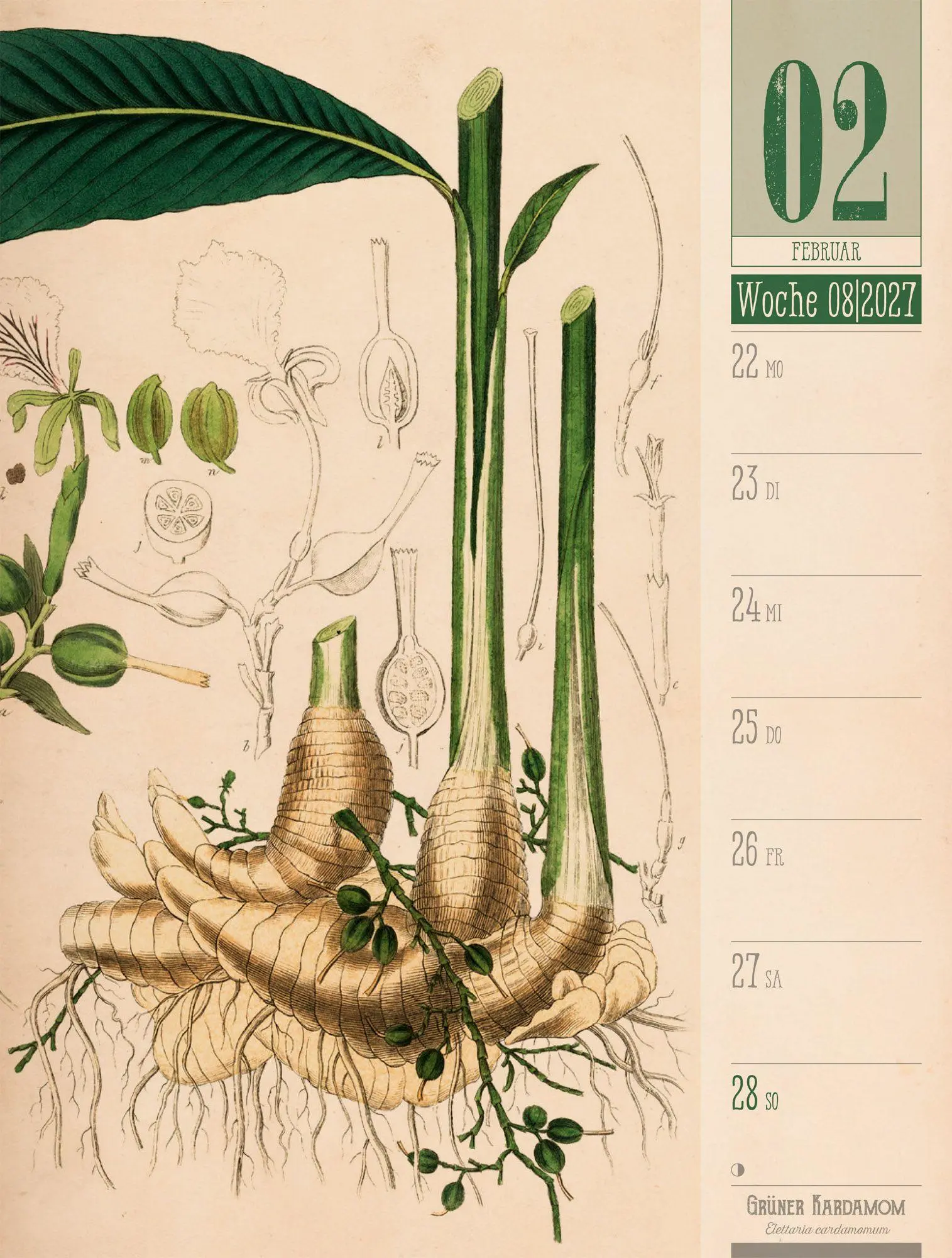 Bild: 9783838427997 | Culinarium Wochenplaner Kalender 2027 Küche, Kräuter, Kurioses | GmbH