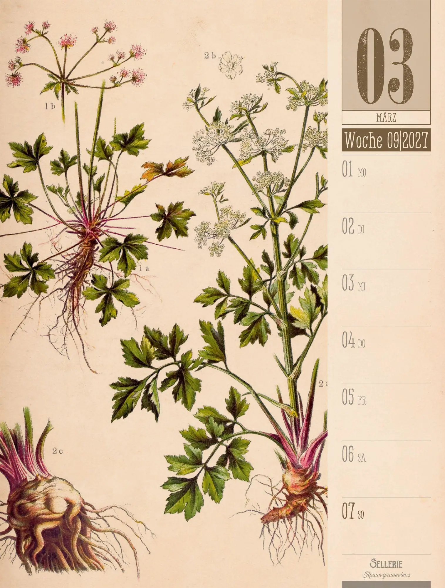 Bild: 9783838427997 | Culinarium Wochenplaner Kalender 2027 Küche, Kräuter, Kurioses | GmbH
