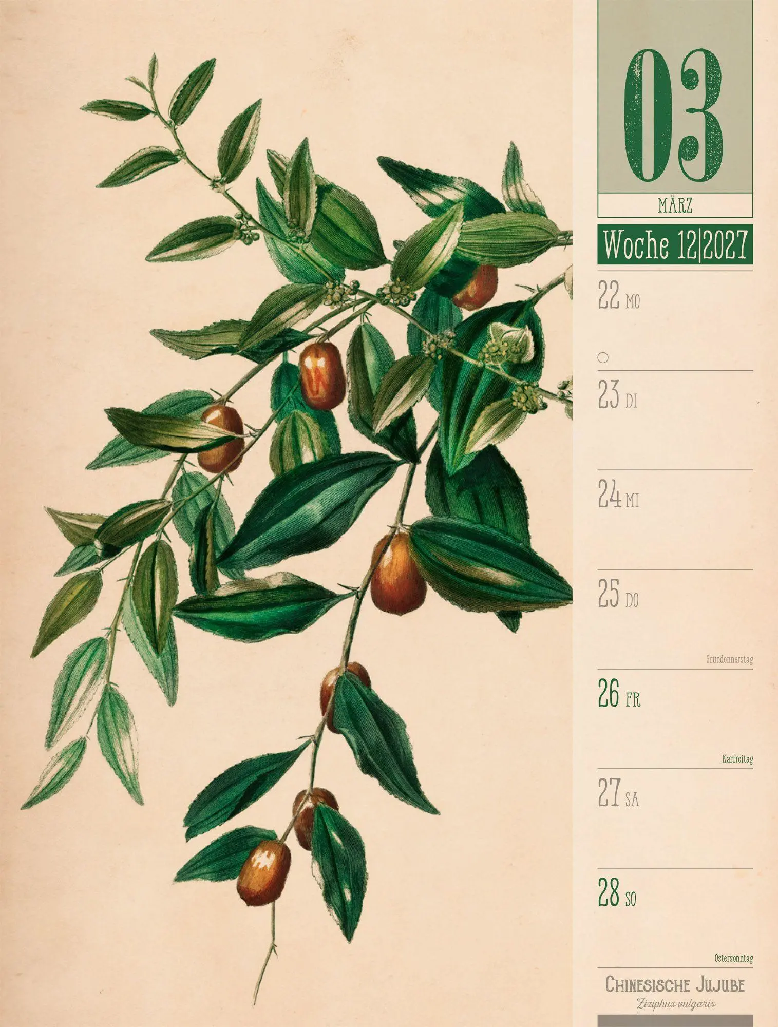 Bild: 9783838427997 | Culinarium Wochenplaner Kalender 2027 Küche, Kräuter, Kurioses | GmbH