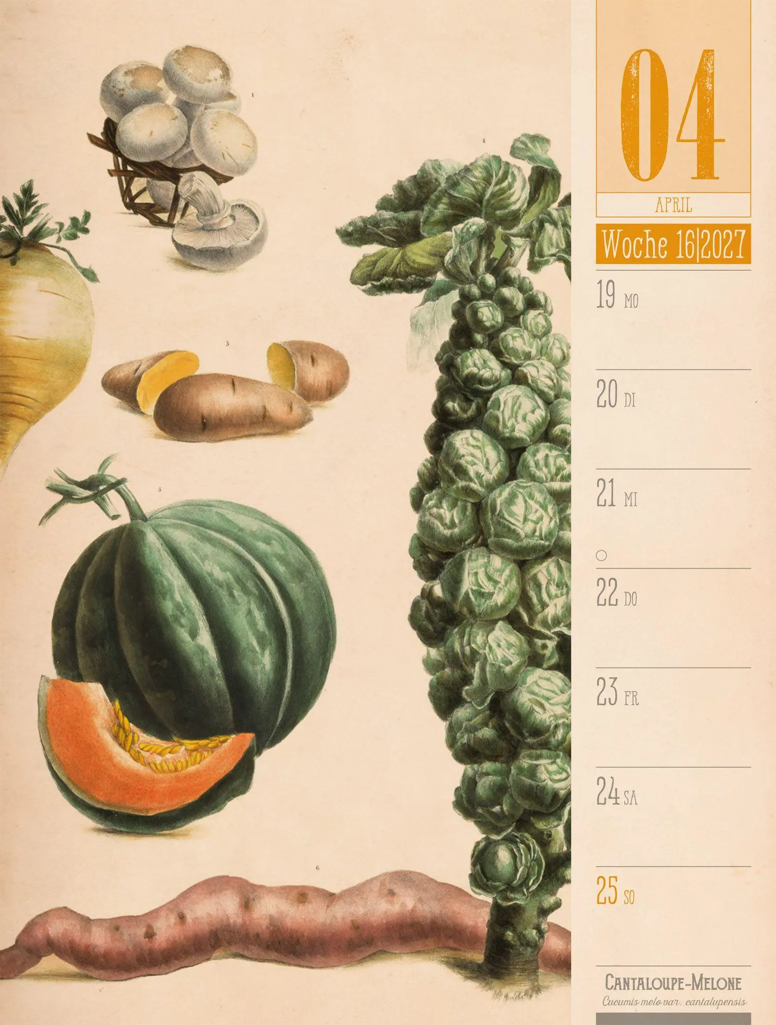Bild: 9783838427997 | Culinarium Wochenplaner Kalender 2027 Küche, Kräuter, Kurioses | GmbH