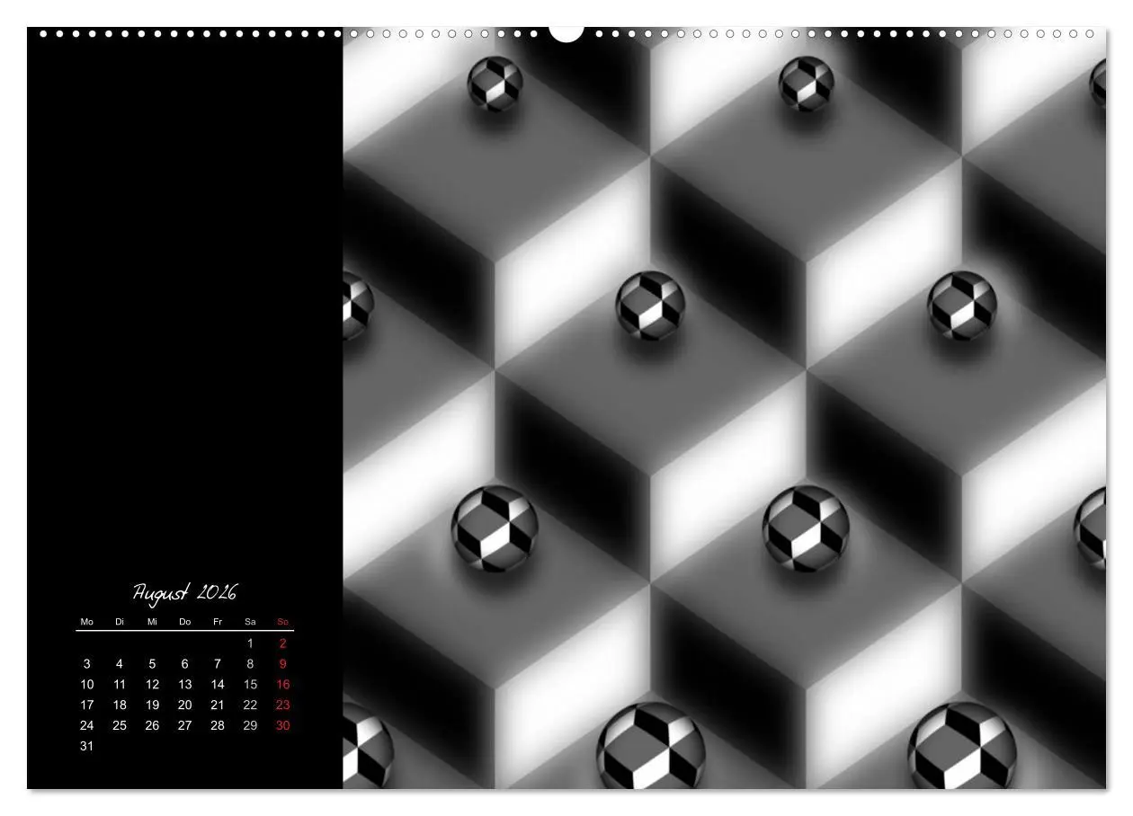 Bild: 9783516188097 | Schwarz trifft Weiß (Wandkalender 2026 DIN A2 quer), CALVENDO...