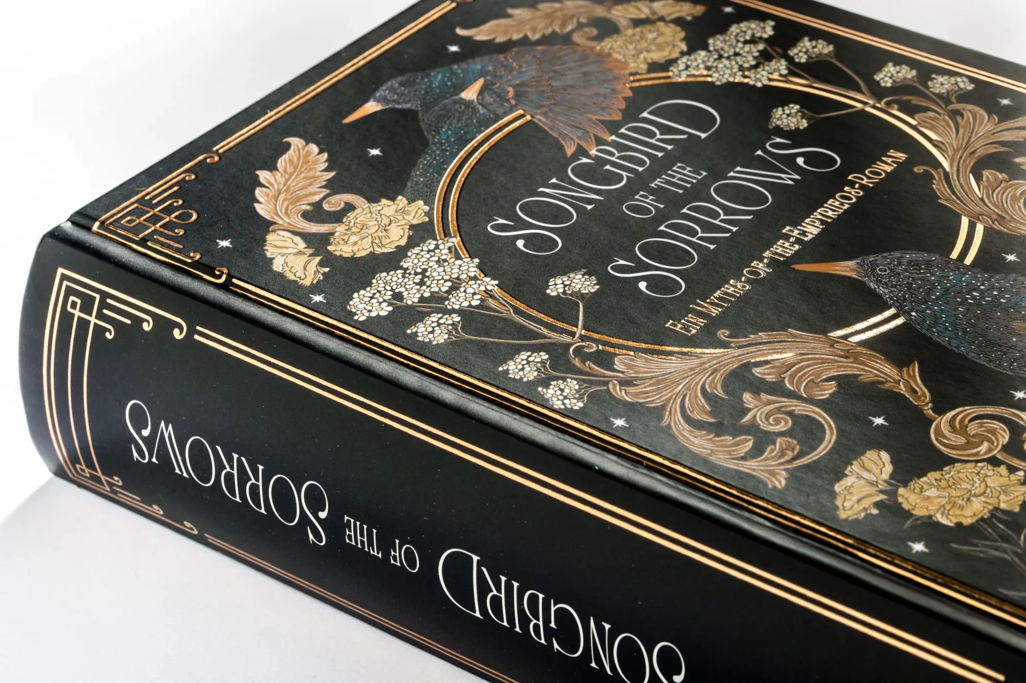 Bild: 9783570168097 | Songbird of the Sorrows | Braidee Otto | Buch | 544 S. | Deutsch | cbj