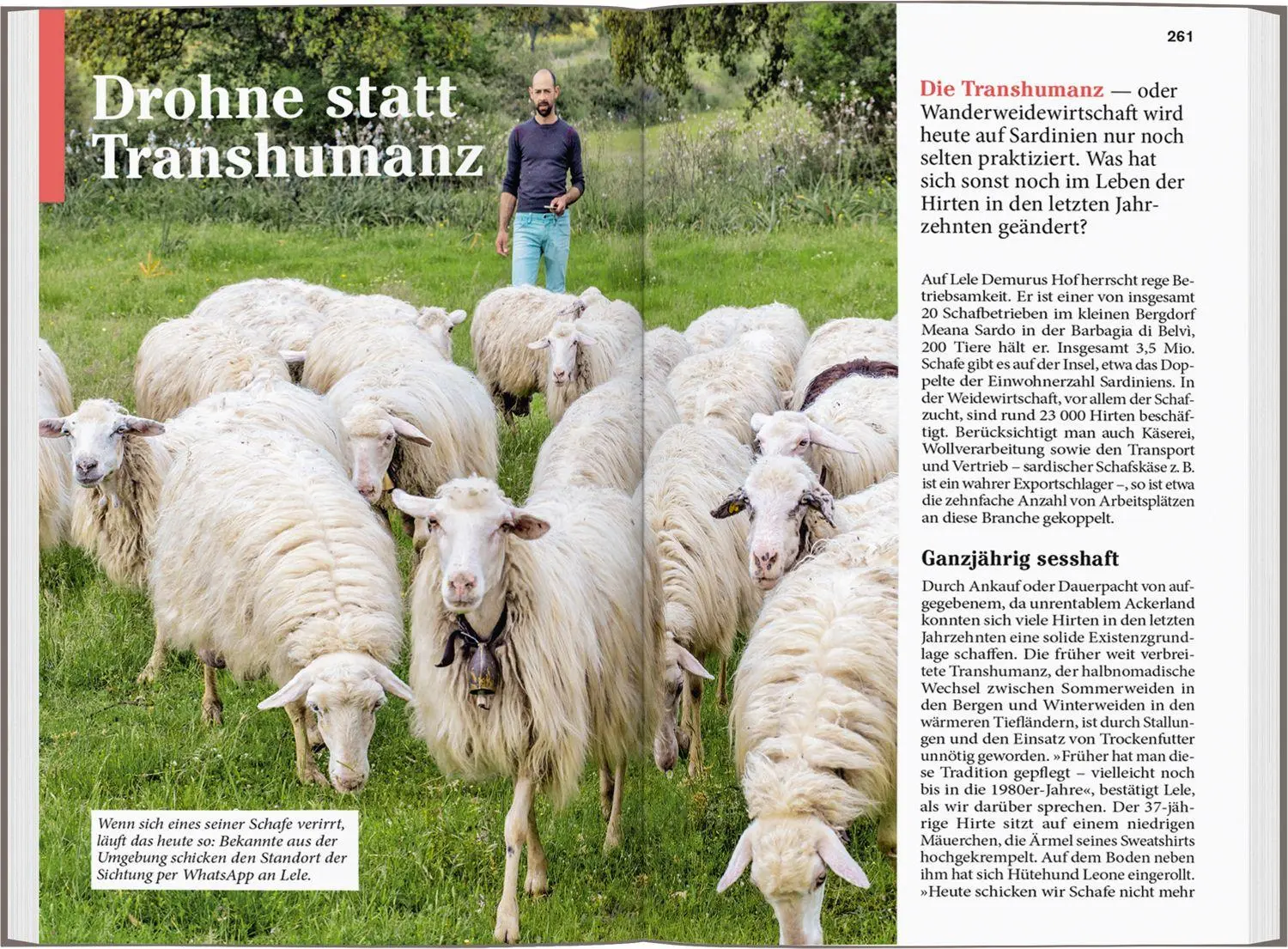 Bild: 9783616008097 | DUMONT Reise-Taschenbuch Reiseführer Sardinien | Stieglitz (u. a.)