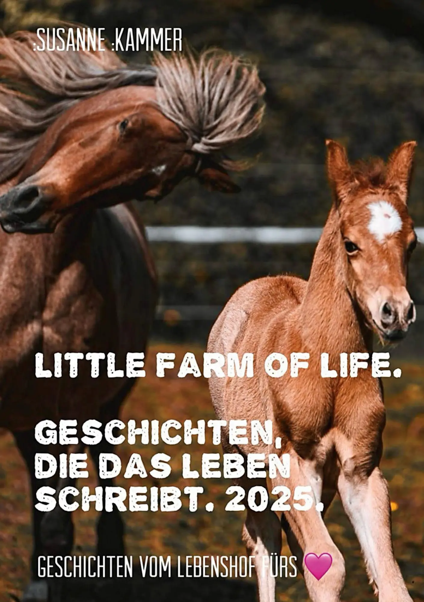 Cover: 9783952618097 | Little Farm of Life. Geschichten, die das Leben schreibt. 2025. | Buch