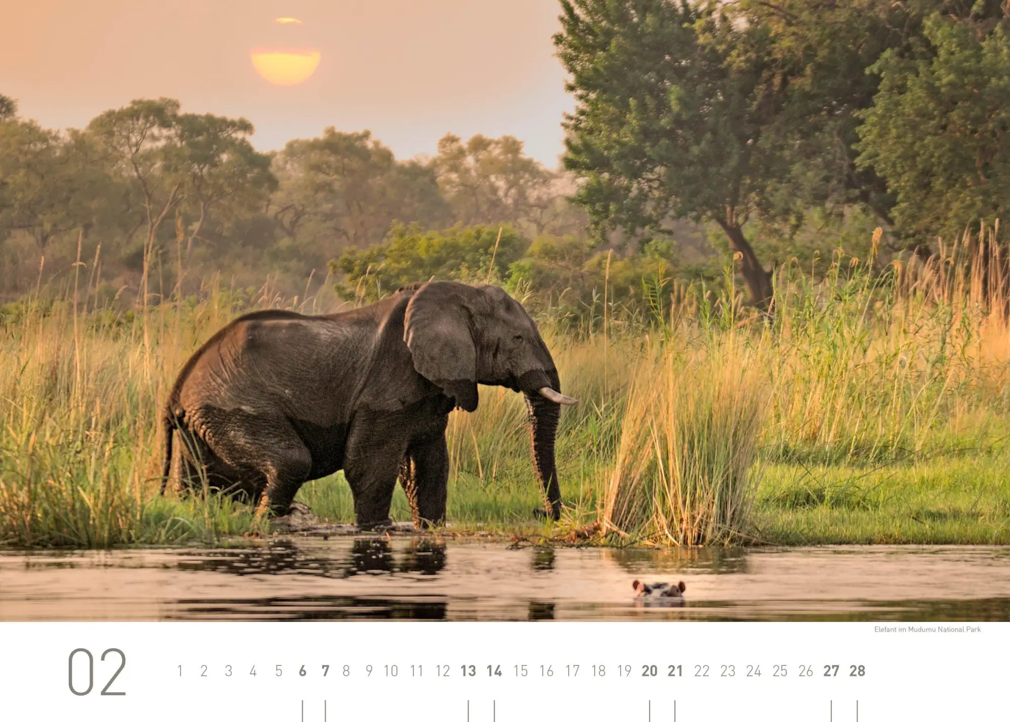 Bild: 9783968558097 | Namibia Exklusivkalender 2027 | Christian Heeb | Kalender | 14 S.