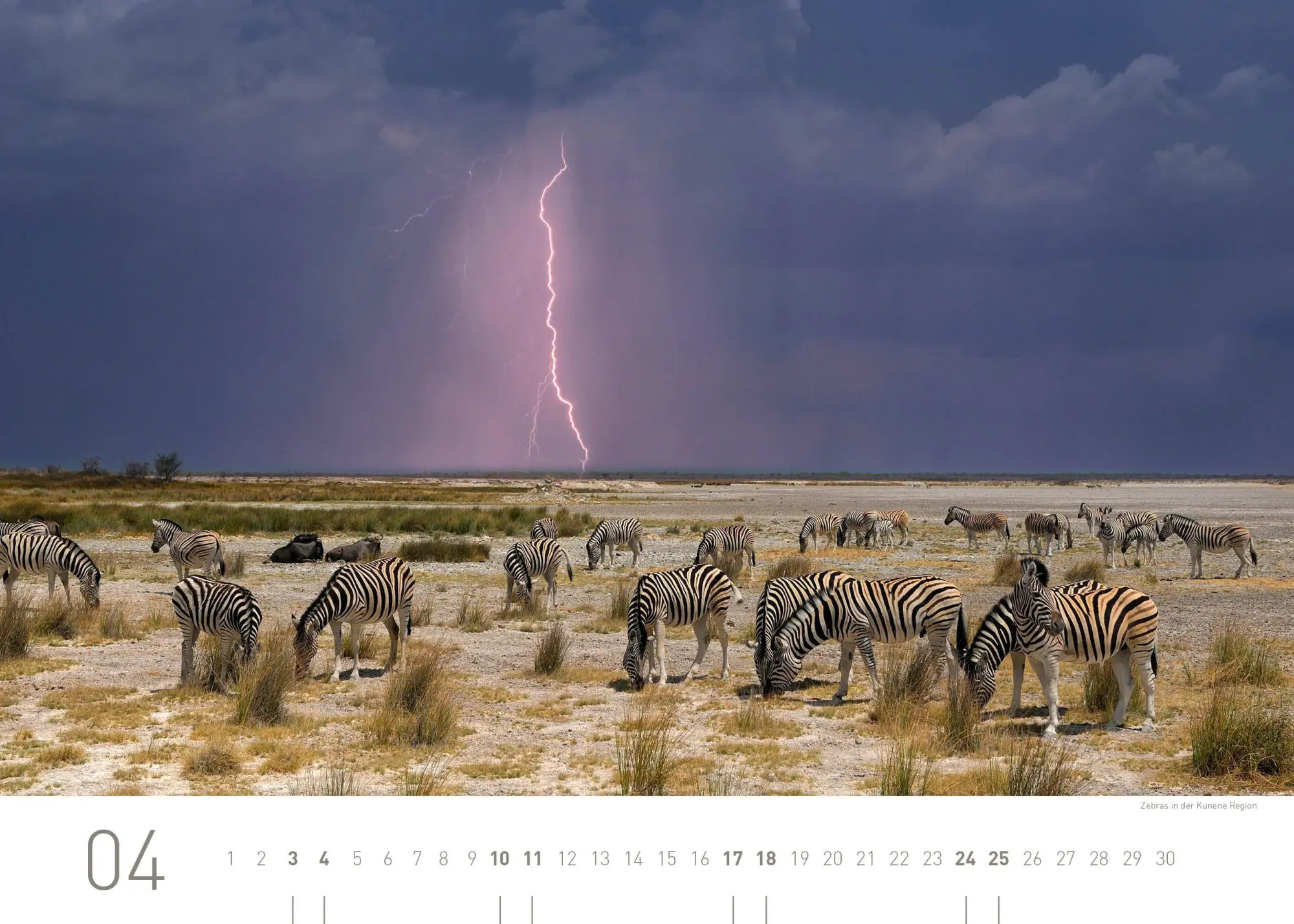 Bild: 9783968558097 | Namibia Exklusivkalender 2027 | Christian Heeb | Kalender | 14 S.