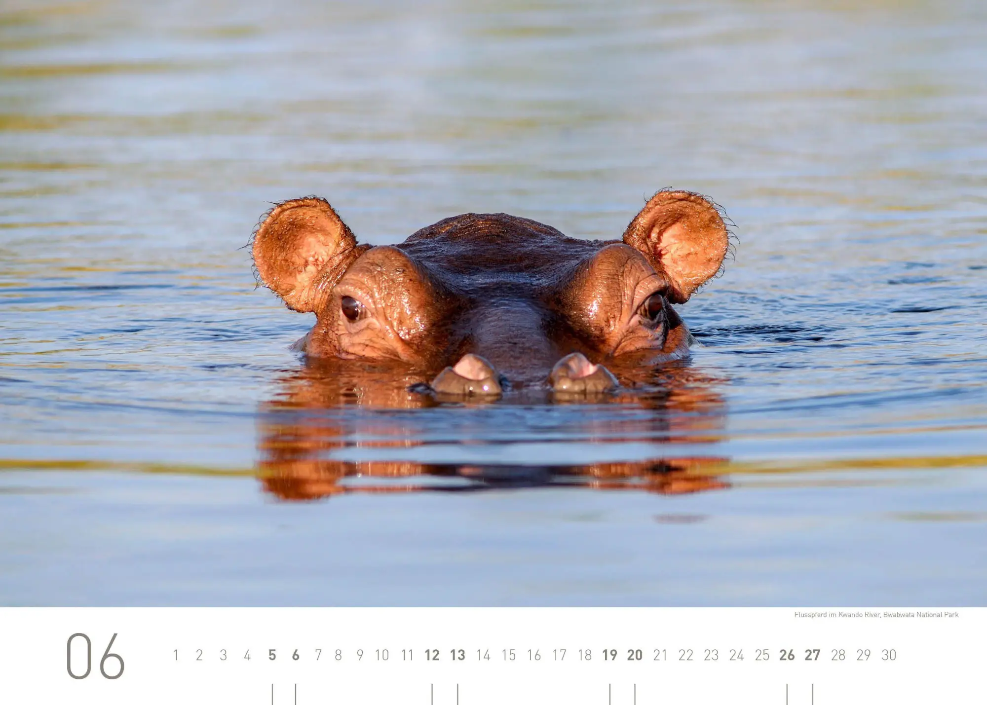 Bild: 9783968558097 | Namibia Exklusivkalender 2027 | Christian Heeb | Kalender | 14 S.