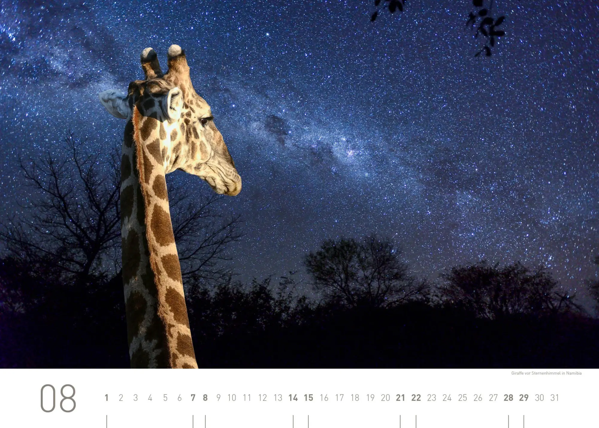 Bild: 9783968558097 | Namibia Exklusivkalender 2027 | Christian Heeb | Kalender | 14 S.