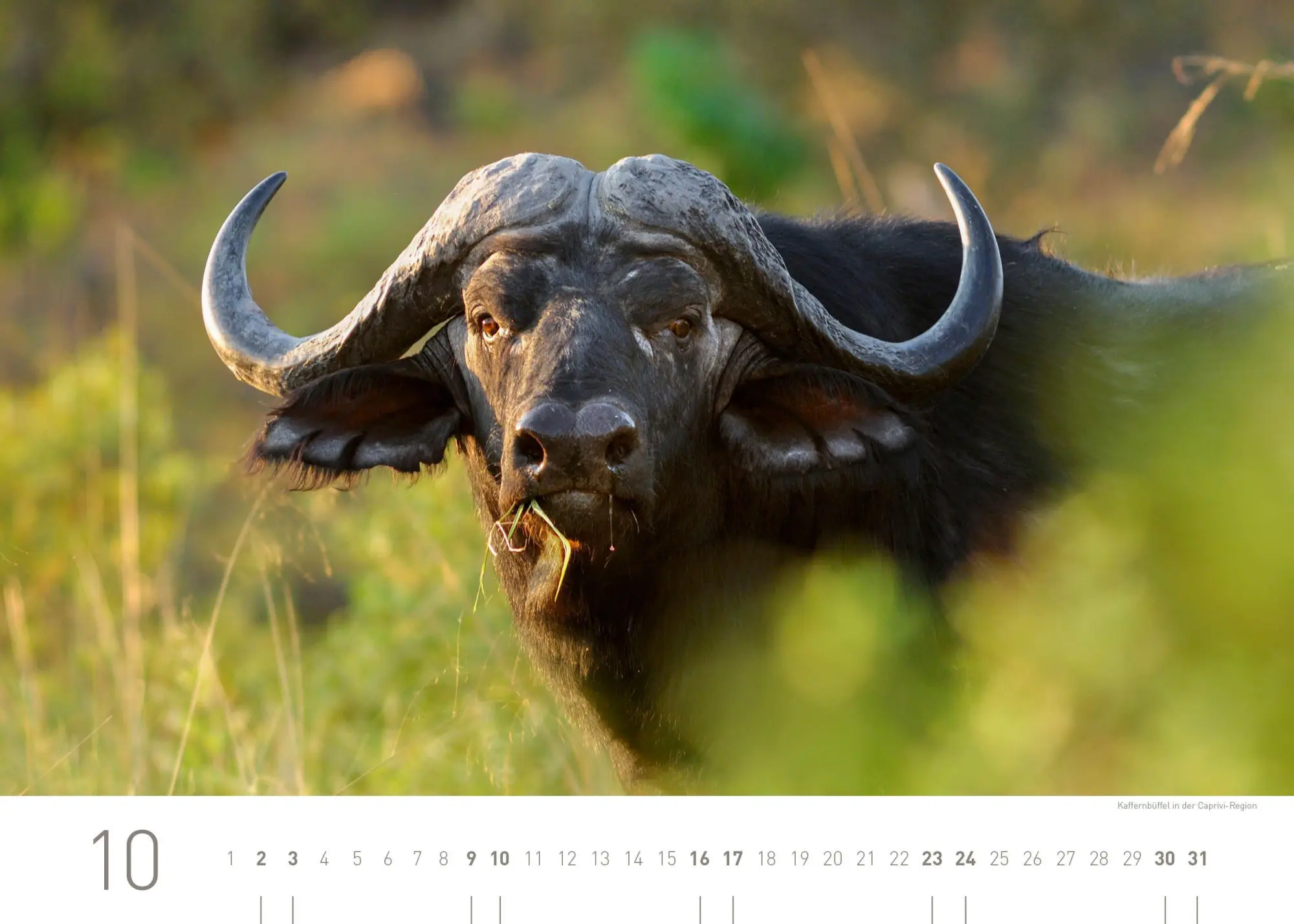 Bild: 9783968558097 | Namibia Exklusivkalender 2027 | Christian Heeb | Kalender | 14 S.