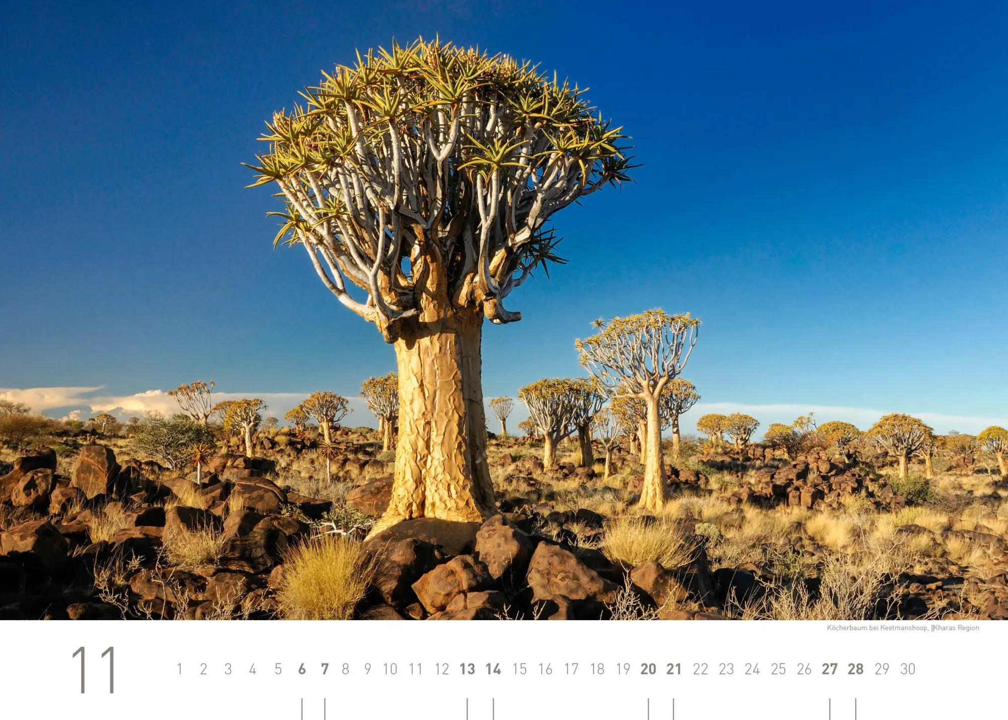 Bild: 9783968558097 | Namibia Exklusivkalender 2027 | Christian Heeb | Kalender | 14 S.