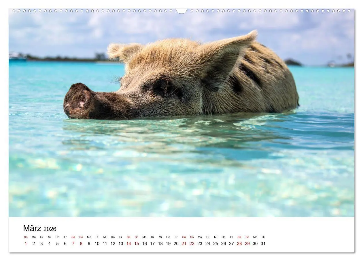 Bild: 9783457608197 | Bahamas - Paradiesische Strände. (Wandkalender 2026 DIN A2 quer),...