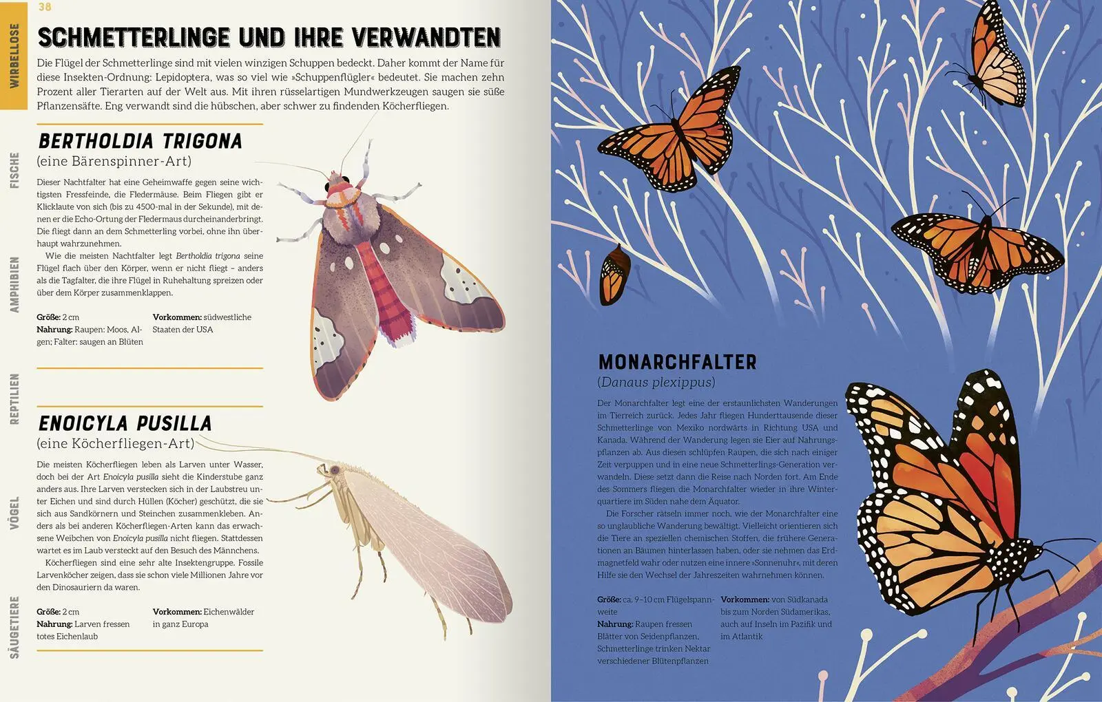 Bild: 9783845848297 | Das große Lexikon der Tiere | Jules Howard | Buch | 192 S. | Deutsch