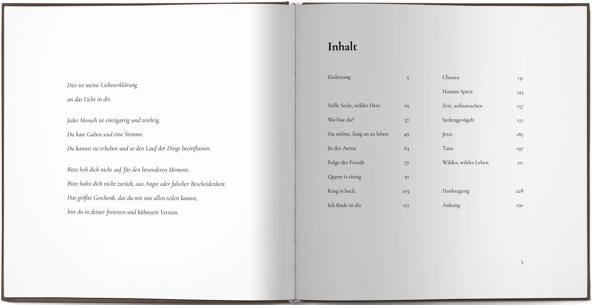 Bild: 9783943478297 | Human Spirit | Das Licht in uns | Veit Lindau | Buch | 240 S. | 2023