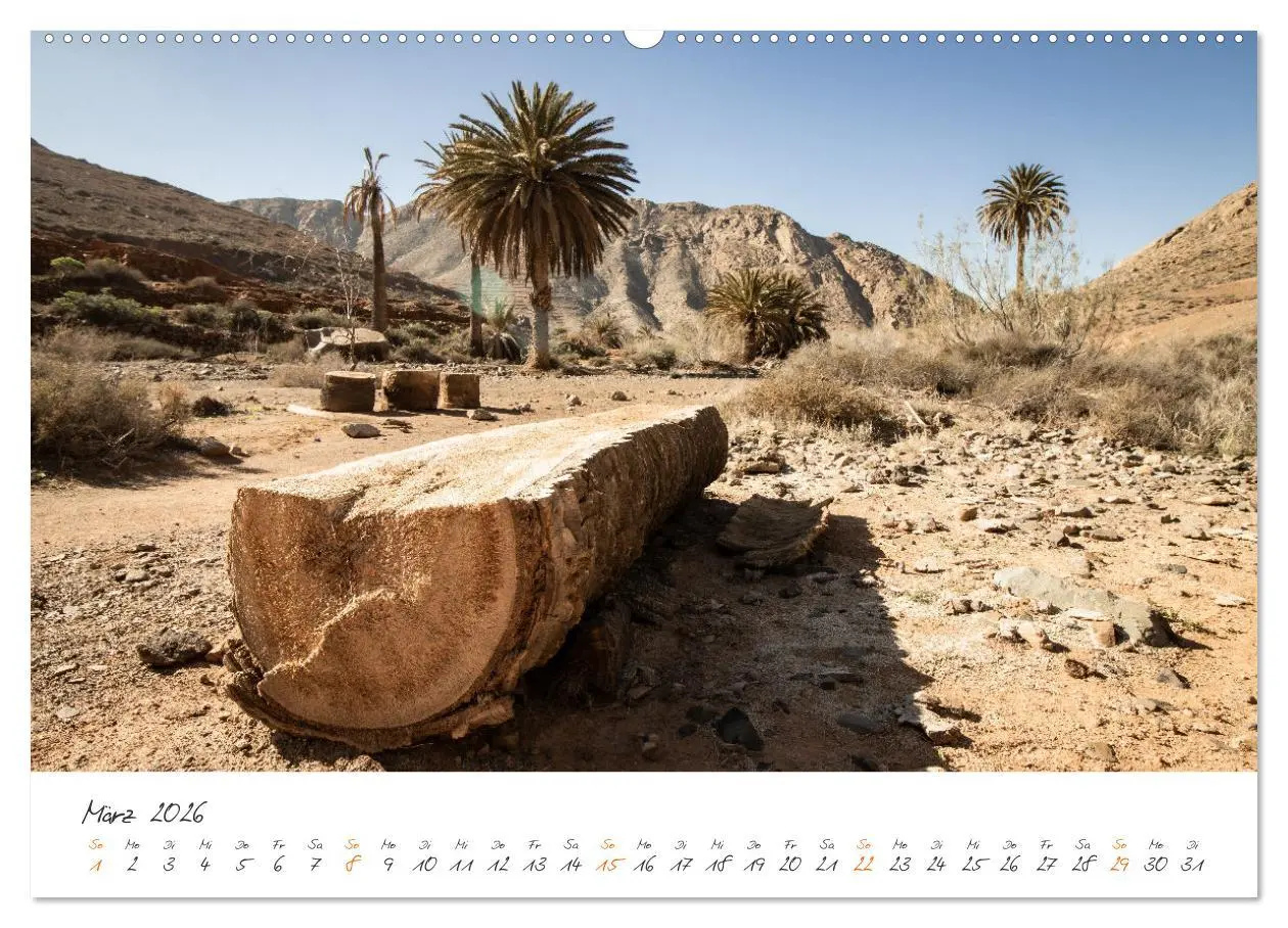 Bild: 9783457448397 | X Tage Fuerteventura - Strände, Vulkane und grandiose Landschaften...