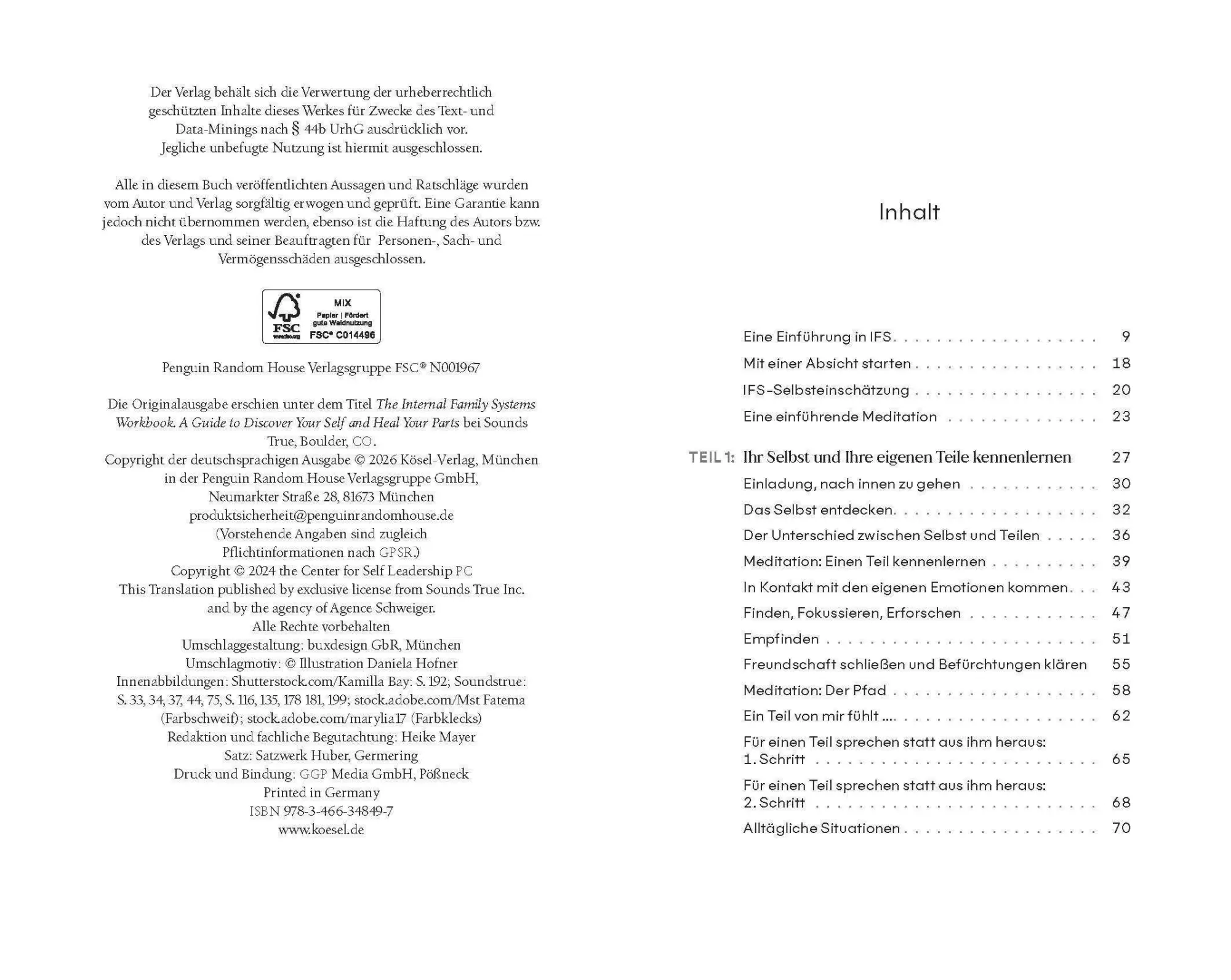 Bild: 9783466348497 | Das System der Inneren Familie verstehen - Arbeitsbuch | Schwartz
