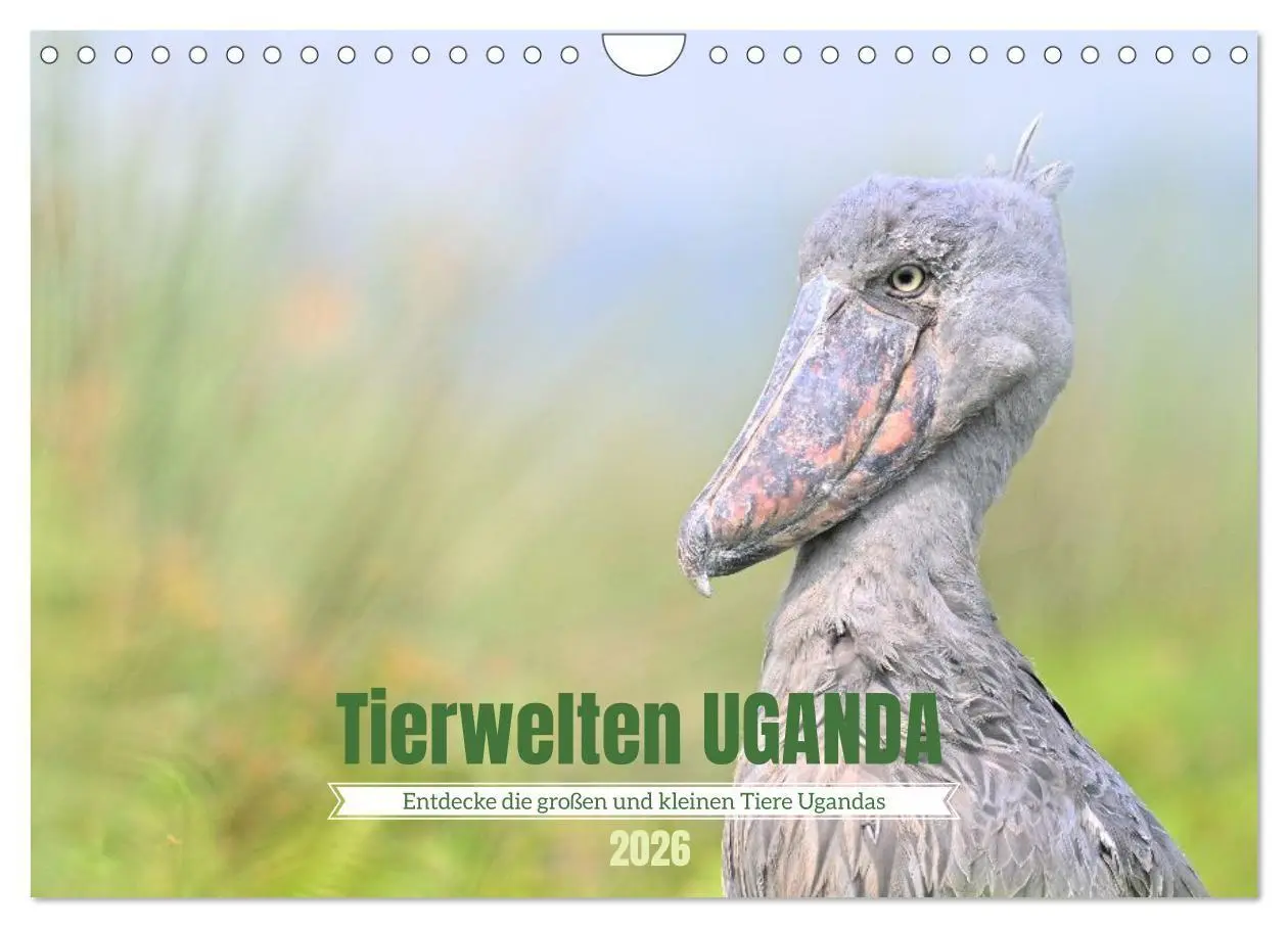 Cover: 9783516698497 | Tierwelten UGANDA (Wandkalender 2026 DIN A4 quer), CALVENDO...