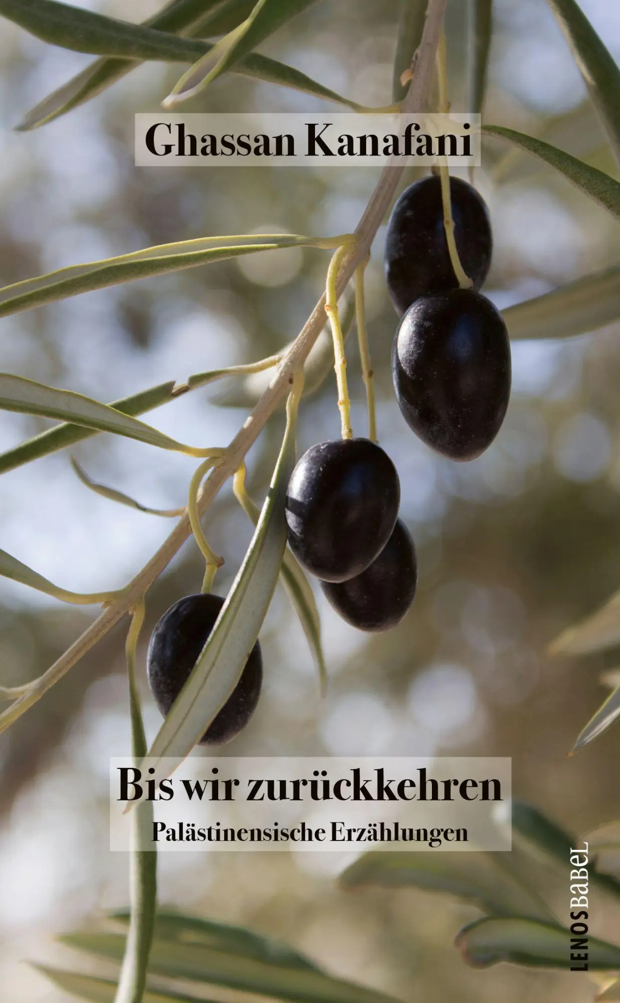 Cover: 9783857878497 | Bis wir zurückkehren | Palästinensische Erzählungen | Ghassan Kanafani