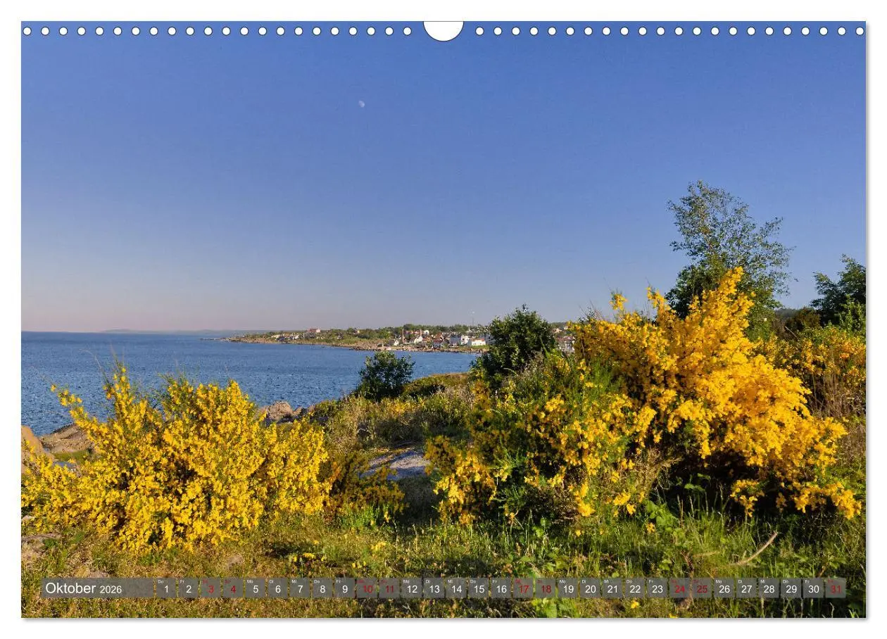 Bild: 9783457808597 | Bornholm Juwel der Ostsee (Wandkalender 2026 DIN A3 quer), CALVENDO...