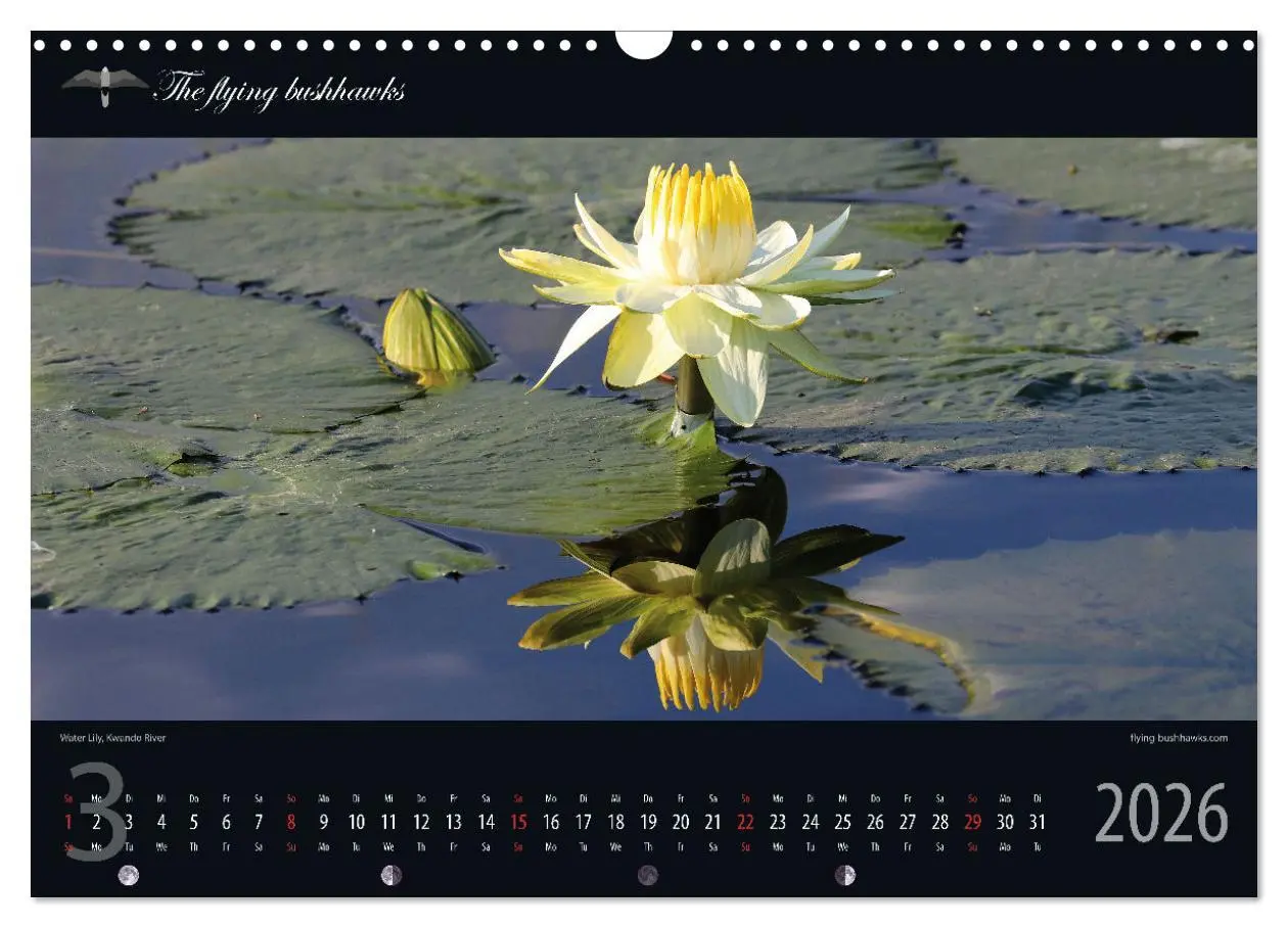 Bild: 9783457278697 | Botswana Blickwinkel 2026 (Wandkalender 2026 DIN A3 quer), CALVENDO...