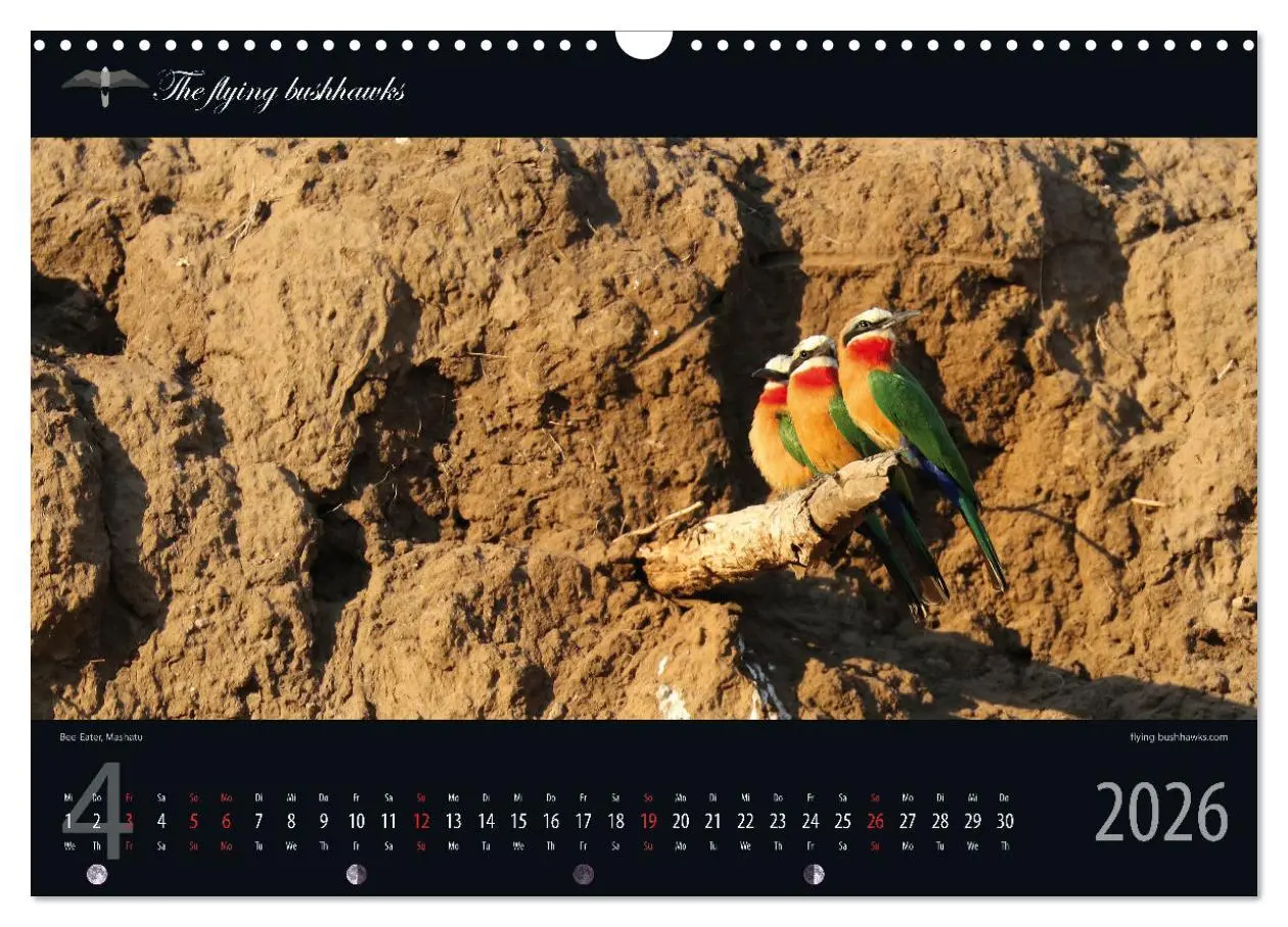 Bild: 9783457278697 | Botswana Blickwinkel 2026 (Wandkalender 2026 DIN A3 quer), CALVENDO...