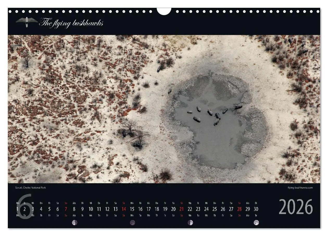 Bild: 9783457278697 | Botswana Blickwinkel 2026 (Wandkalender 2026 DIN A3 quer), CALVENDO...