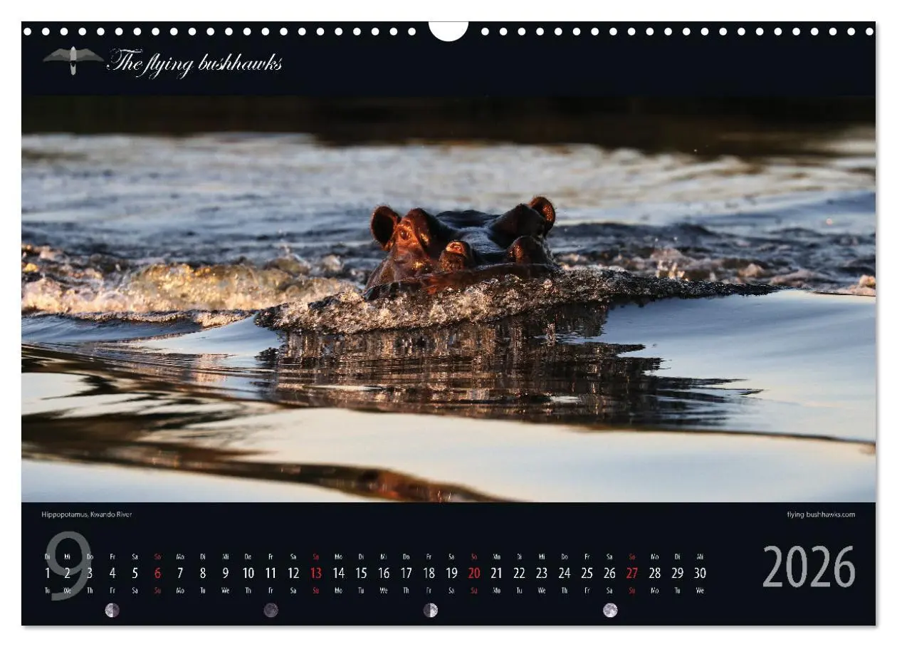 Bild: 9783457278697 | Botswana Blickwinkel 2026 (Wandkalender 2026 DIN A3 quer), CALVENDO...