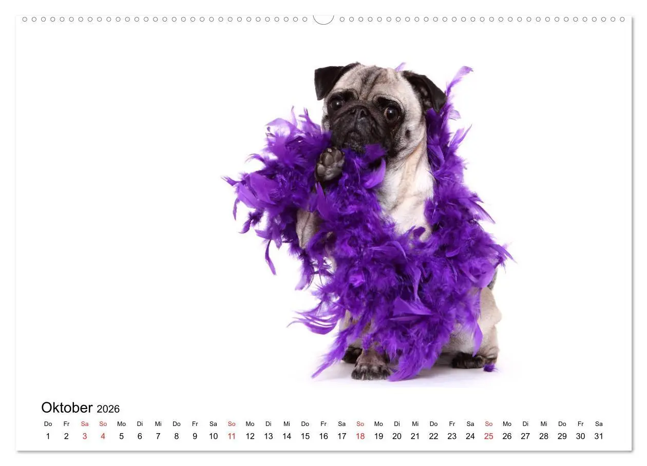 Bild: 9783457728697 | Funny Dogs (hochwertiger Premium Wandkalender 2026 DIN A2 quer),...