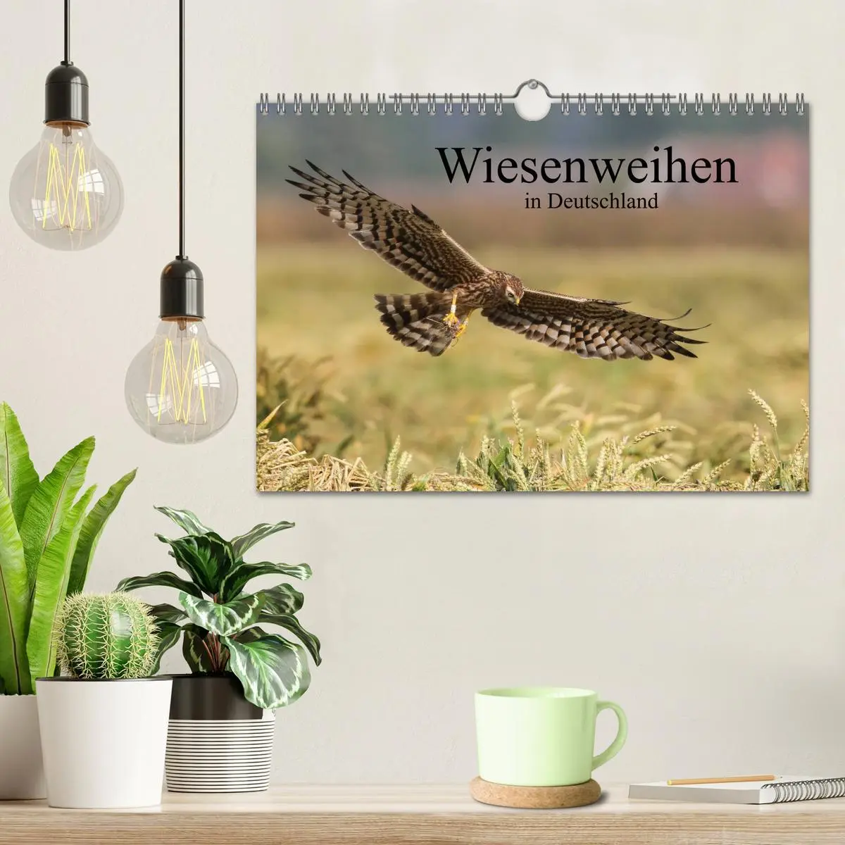 Bild: 9783516128697 | Wiesenweihen in Deutschland (Wandkalender 2026 DIN A4 quer),...