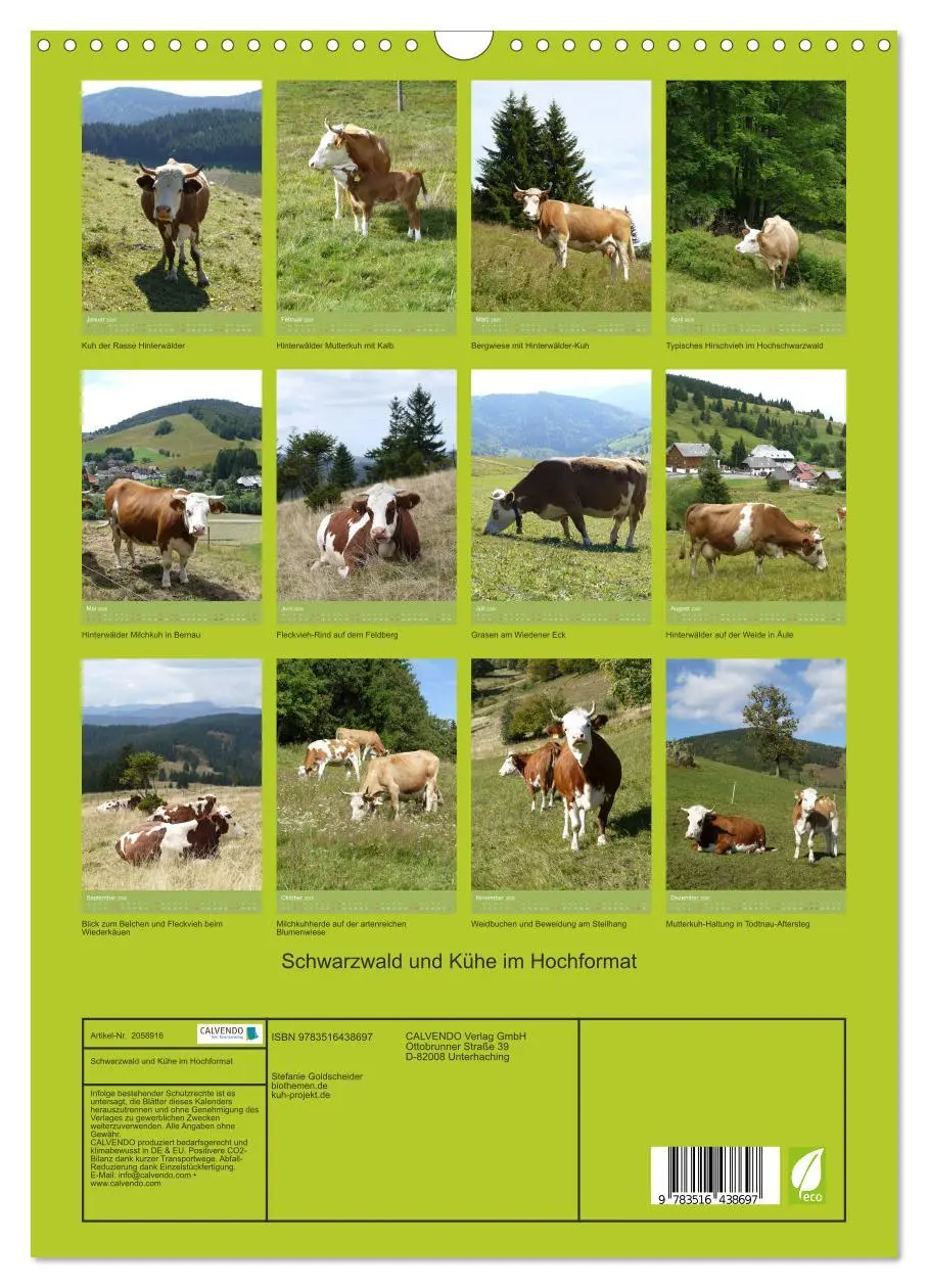 Bild: 9783516438697 | Schwarzwald und Kühe im Hochformat (Wandkalender 2026 DIN A3 hoch),...
