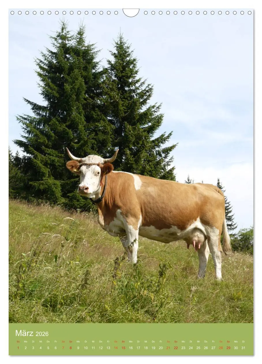 Bild: 9783516438697 | Schwarzwald und Kühe im Hochformat (Wandkalender 2026 DIN A3 hoch),...