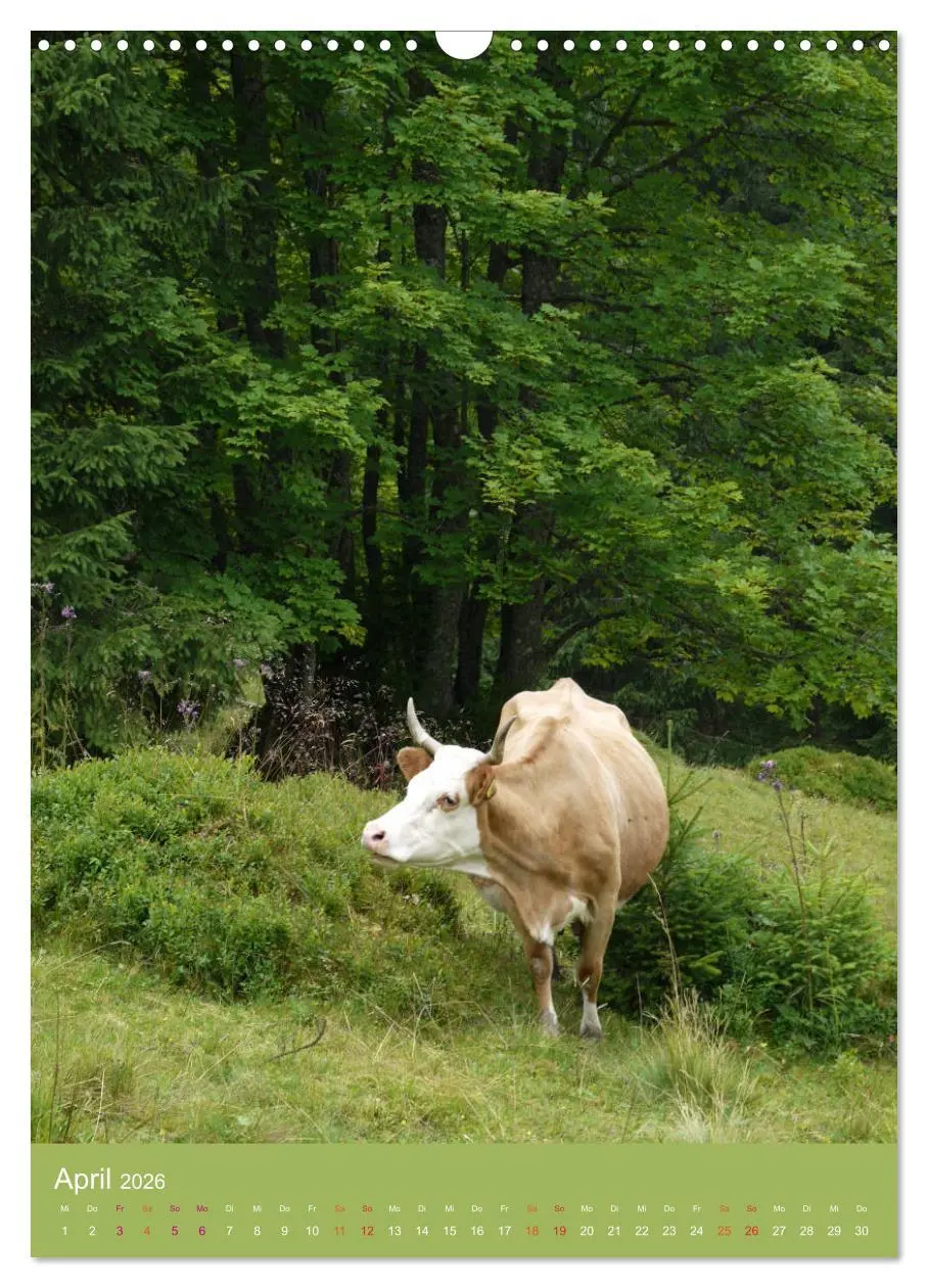 Bild: 9783516438697 | Schwarzwald und Kühe im Hochformat (Wandkalender 2026 DIN A3 hoch),...