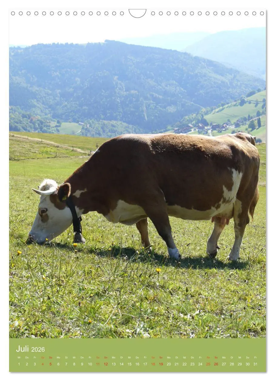 Bild: 9783516438697 | Schwarzwald und Kühe im Hochformat (Wandkalender 2026 DIN A3 hoch),...