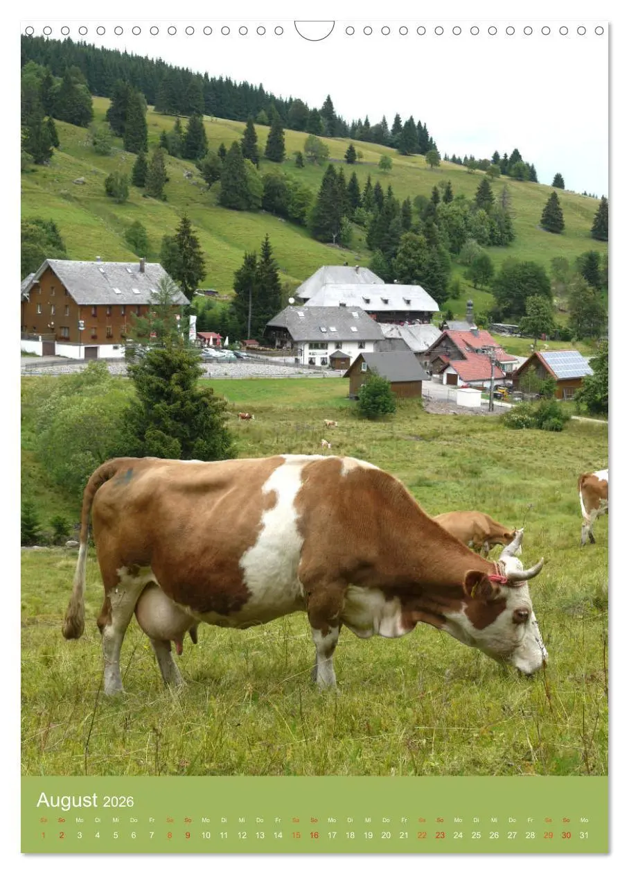 Bild: 9783516438697 | Schwarzwald und Kühe im Hochformat (Wandkalender 2026 DIN A3 hoch),...