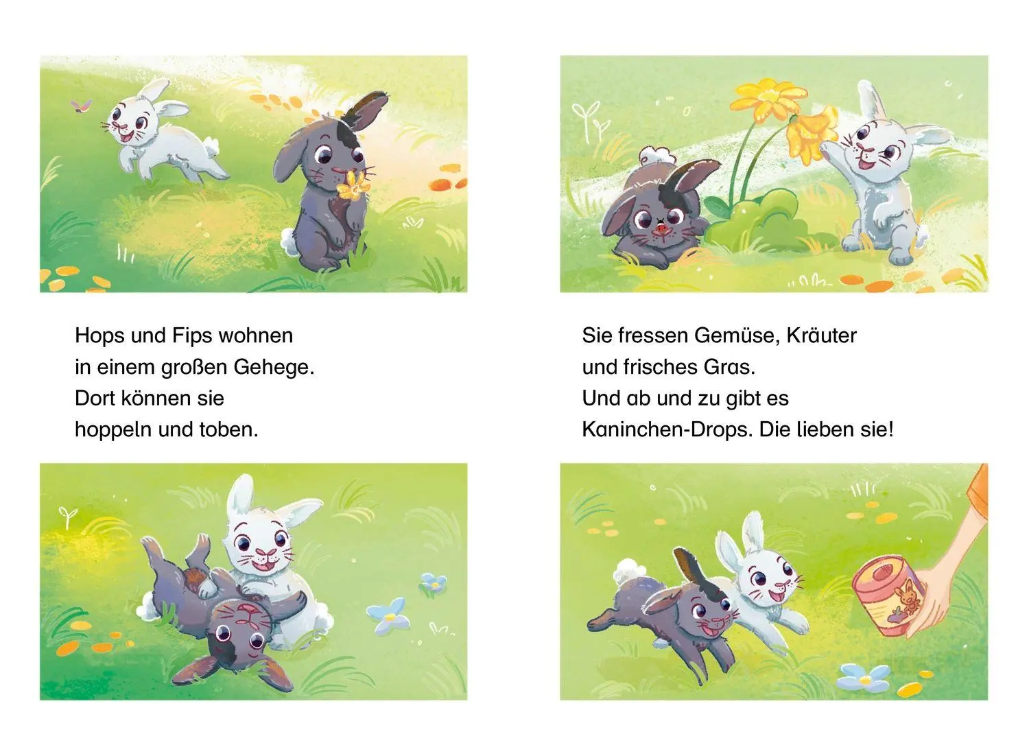 Bild: 9783751208697 | Mein supersüßes Haustier. Hops und Fips reißen aus | Judith Allert