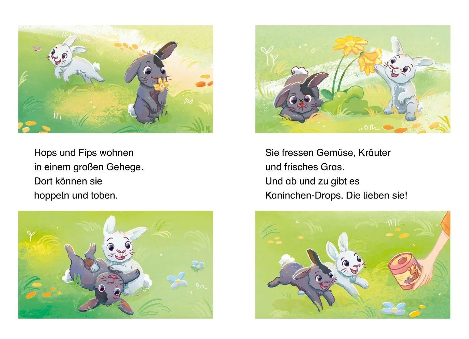Bild: 9783751208697 | Mein supersüßes Haustier. Hops und Fips reißen aus | Judith Allert