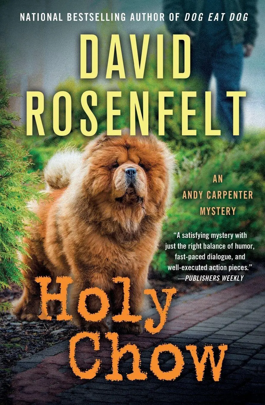 Cover: 9781250828897 | Holy Chow | David Rosenfelt | Taschenbuch | Kartoniert / Broschiert