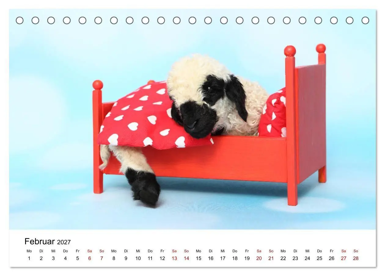 Bild: 9783569748897 | Walliser Schwarznasenschaf Valais Blacknose Sheep (Tischkalender...