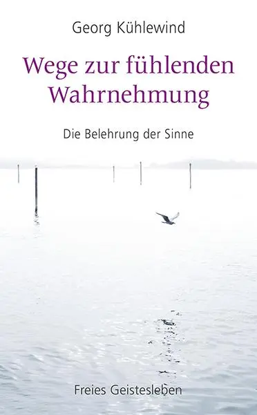Cover: 9783772528897 | Wege zur fühlenden Wahrnehmung | Die Belehrung der Sinne | Kühlewind