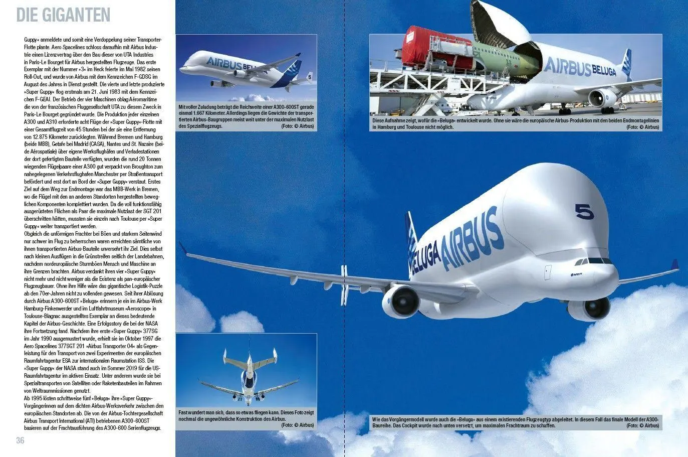 Bild: 9783613048997 | Die besten Flugzeuge, die man kennen muss | Wolfgang Borgmann | Buch