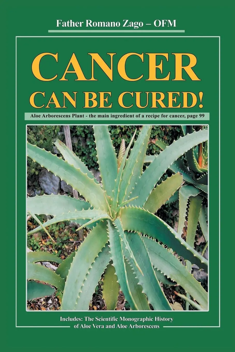 Cover: 9781504929097 | Cancer Can Be Cured | Father Romano Zago | Taschenbuch | Englisch